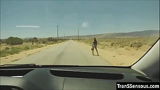 Transsexual hitchhiker fucked in be passed on ass
